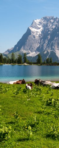 Bergpanorama in der Tiroler Zugspitzarena