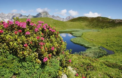 Sommerreise nach Matrei in Osttirol